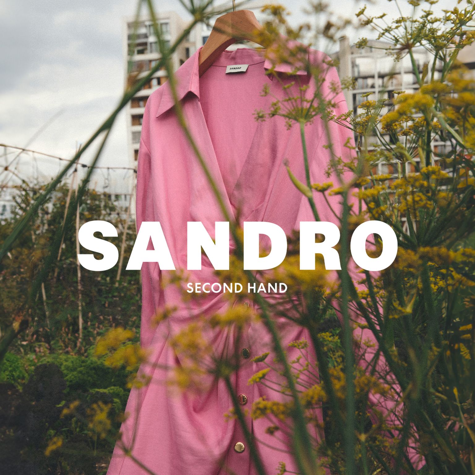 Sandro